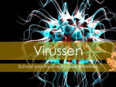 Virussen behandelen met Ayurveda! | online  - Lies Ameeuw - Ayurveda